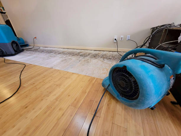 Professional Structural Drying technician working in Old Monroe, MO